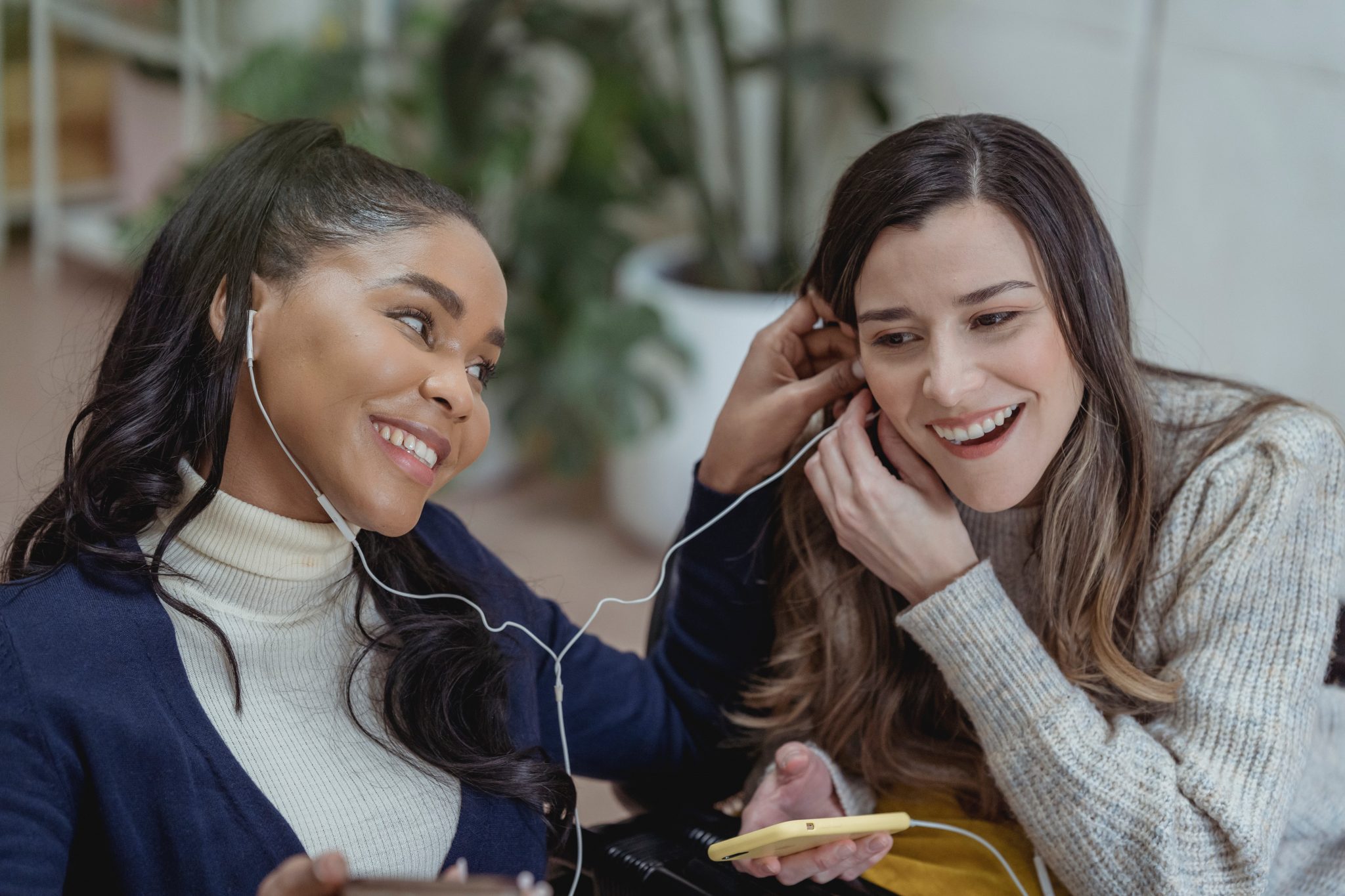 Partnering With Timbre Media for Thought Leadership Success